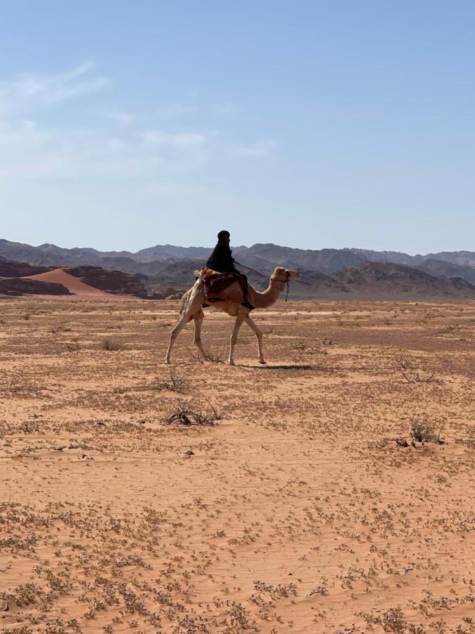 Wadi Rum Desert Camp Esterno foto